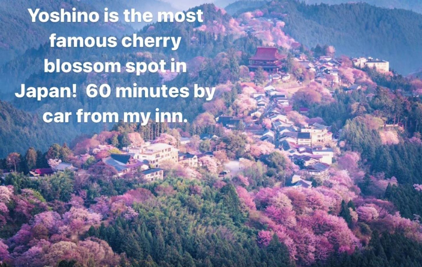 Inn Unkai No Sato No Yado Nosegawa Extérieur photo